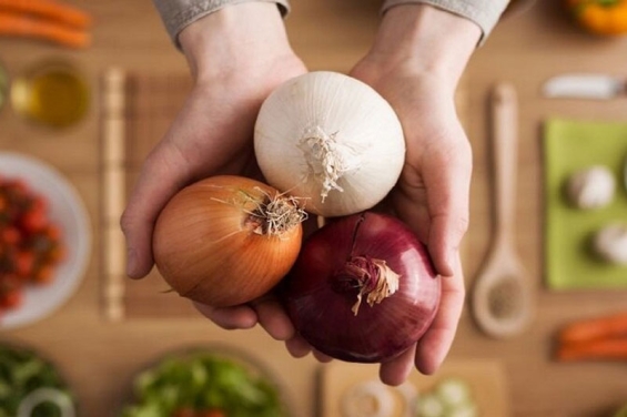 Phytonzide weltweit: Forschung und Anwendung im Überblick